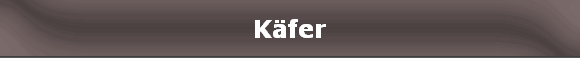 K�fer